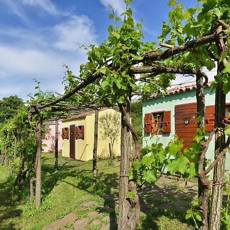 Glamping Green Istria Tiny Houses تروشكي المظهر الخارجي الصورة