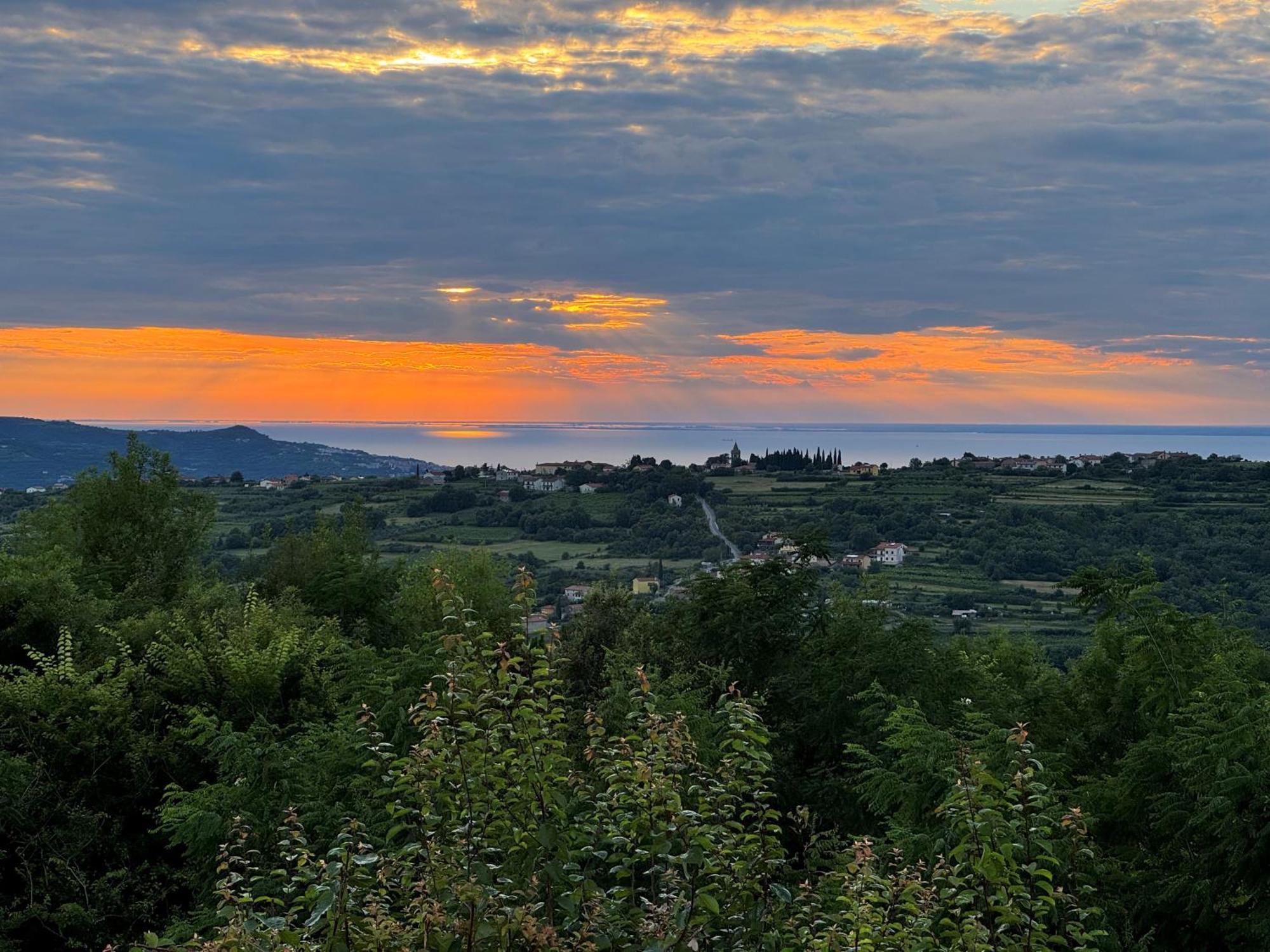 Glamping Green Istria Tiny Houses تروشكي المظهر الخارجي الصورة