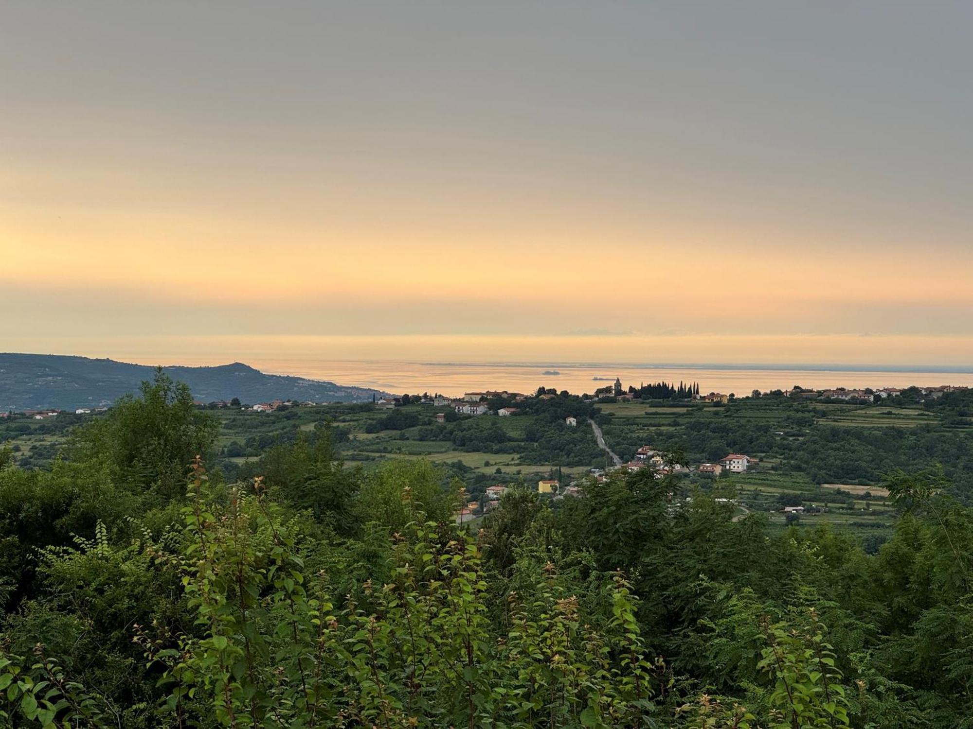 Glamping Green Istria Tiny Houses تروشكي المظهر الخارجي الصورة