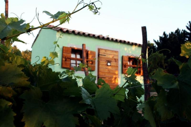 Glamping Green Istria Tiny Houses تروشكي المظهر الخارجي الصورة