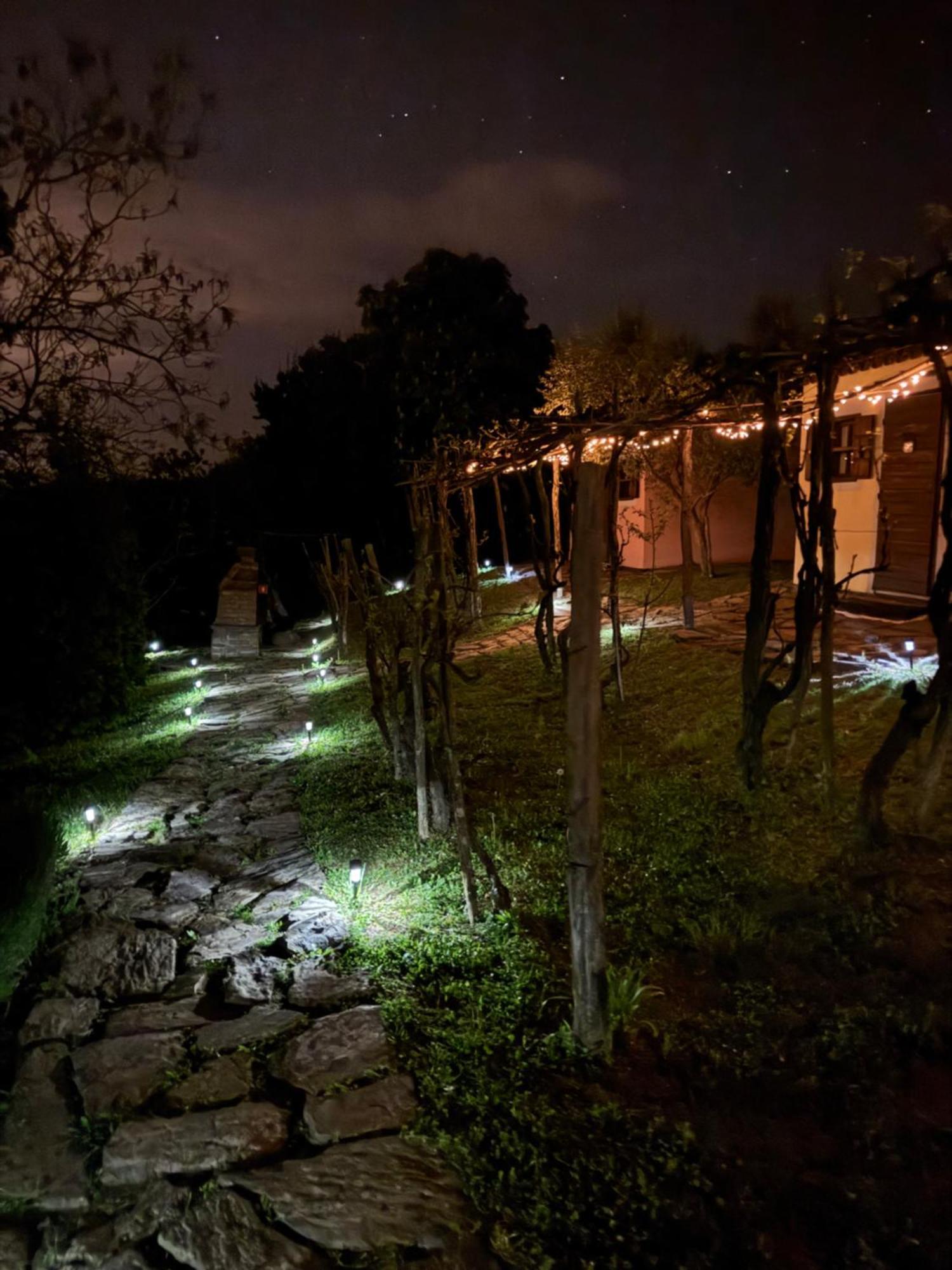 Glamping Green Istria Tiny Houses تروشكي المظهر الخارجي الصورة