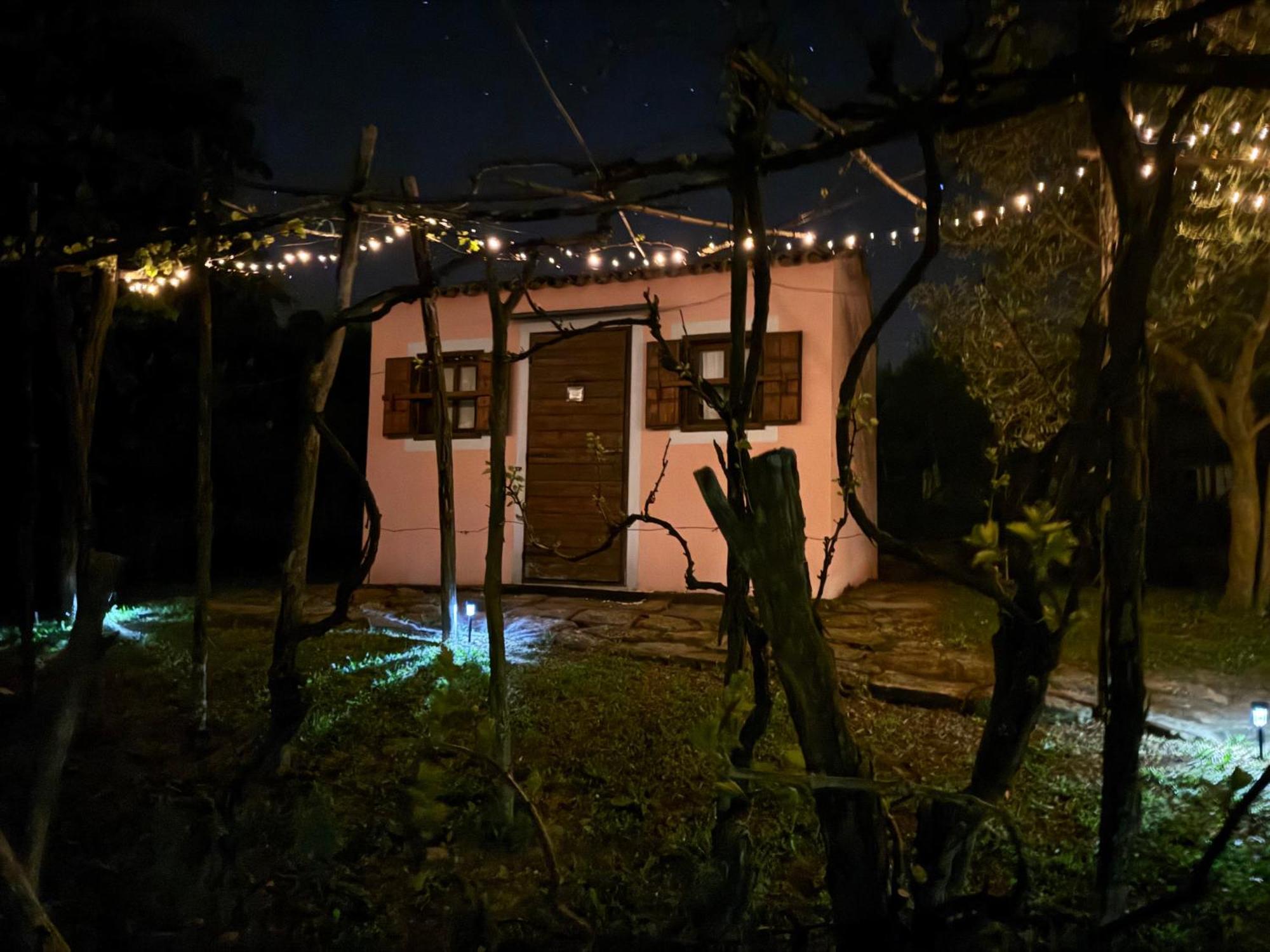 Glamping Green Istria Tiny Houses تروشكي المظهر الخارجي الصورة