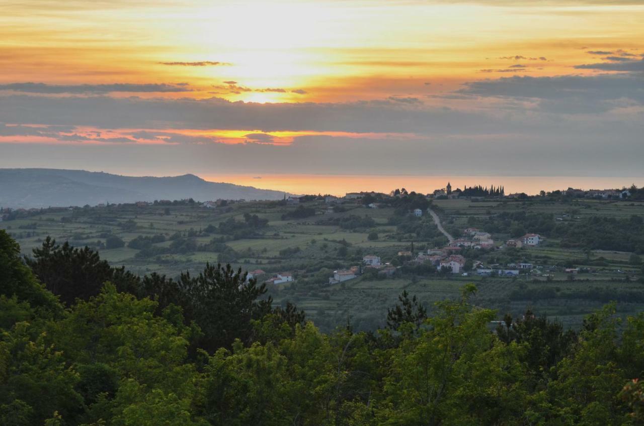 Glamping Green Istria Tiny Houses تروشكي المظهر الخارجي الصورة
